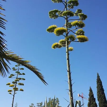 Agroturismo Ca Na Joaneta