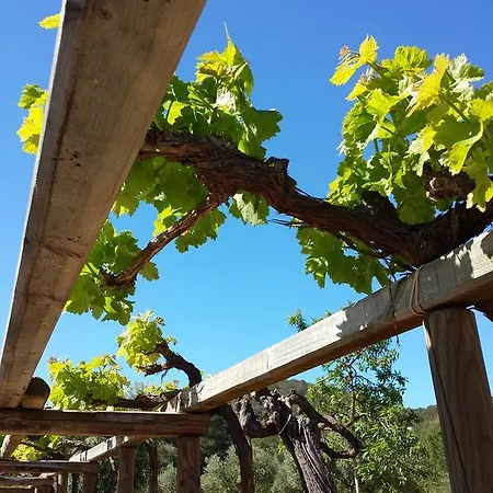 Ca Na Joaneta Alloggio per agriturismo Santa Eularia des Riu