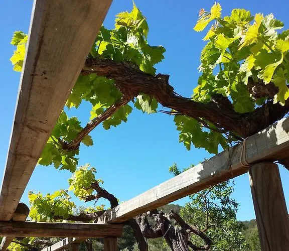 Ca Na Joaneta Feriegård Santa Eularia des Riu