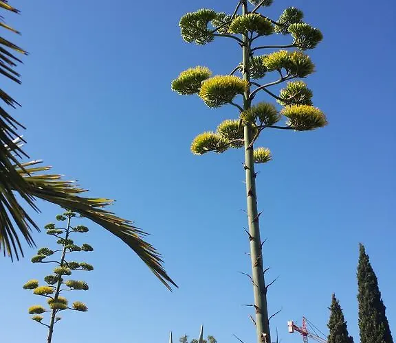 Feriegård Ca Na Joaneta